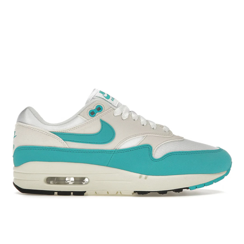 Nike Air Max 1 Dusty Cactus Produkt Billede
